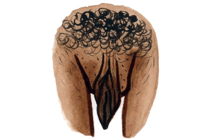 vulva